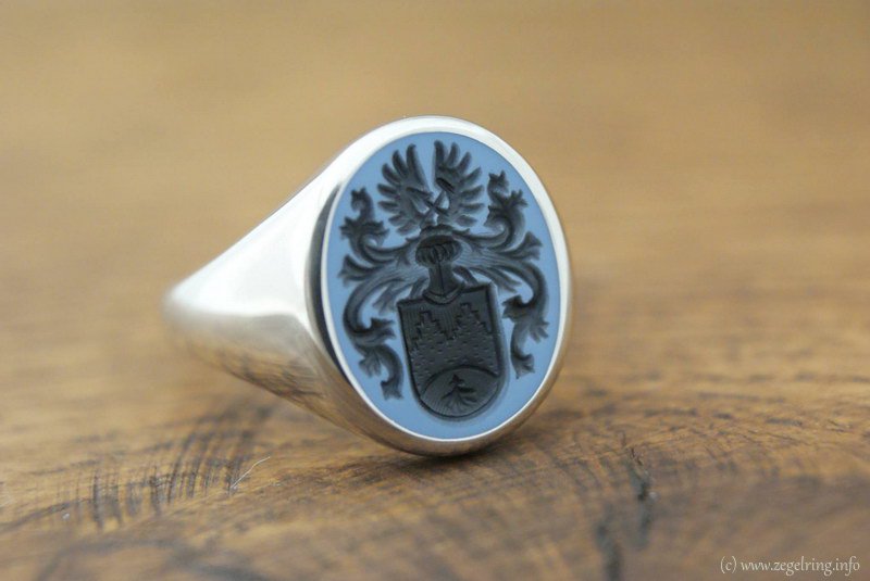 Familiewapen ontworpen heraldisch ring familie
