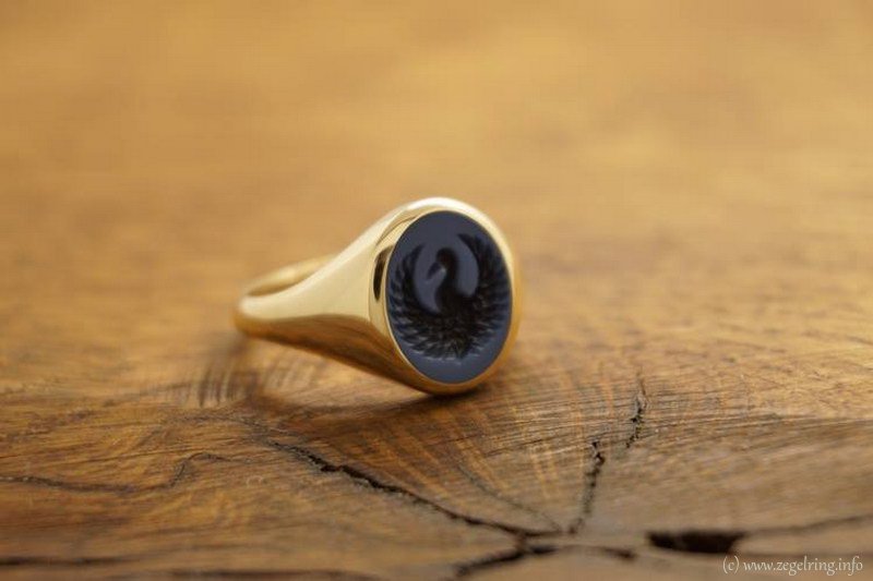 Ring draagster herinnering herinneringssieraad verzorgen