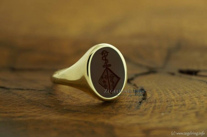 Ring steenkleur zegelring gouden zegelringen