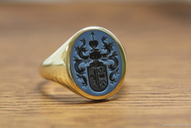 Steen herenring lagensteen goud combinatie
