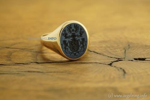 Verschillende goud ring steen uitgebreide zegelring catalogusaanvraag