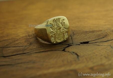 Verschillende goud zegelstenen vaardigheden zegelring gouden zegelringen steen