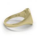 Gouden dameszegelring met zegelsteen 12x10 mm model