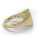 Gouden dameszegelring met zegelsteen 13x10 mm model