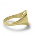 Gouden dameszegelring met zegel 12x10 mm model