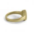 Gouden dameszegelring met zegelsteen 10x8 mm model