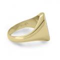 Gouden herenzegelring met zegelsteen 14x11 mm model
