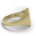 Gouden herenzegelring met zegelsteen 15x12 mm model