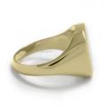 Gouden herenzegelring met zegelsteen 14x13 mm model