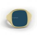Gouden herenzegelring met zegelsteen 14x13 mm ring graveren
