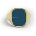 Gouden herenzegelring met zegelsteen 16x13 mm ring graveren