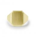 Gouden herenzegelring met zegel 16x14 mm ring graveren