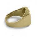 Gouden herenzegelring met zegelsteen 14x12 mm model
