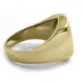 Gouden herenzegelring met zegelsteen 15x12 mm model