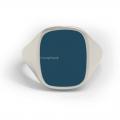 Witgouden herenzegelring met zegelsteen 16x13 mm ring graveren